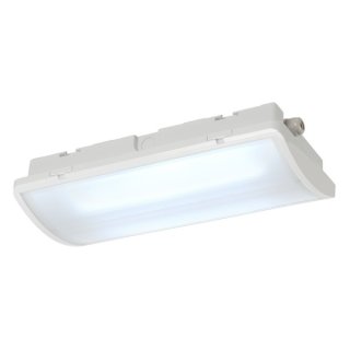 SLV P-LIGHT Emergency areal light, white