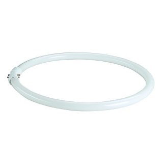 T5-Ringform Leuchtstofflampe 40W 4000K 2GX13 Online kaufen