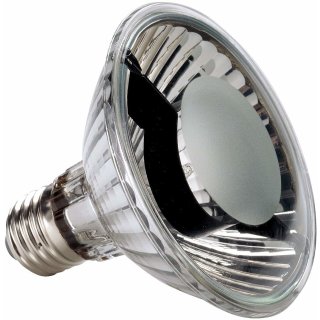 SLV Hochvolt-Reflektorlampe PAR 30 150 W, 44 Grad mit Wabencover