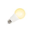 SLV VALETO® LED Leuchtmittel, E27, RGBW, 240°, 9,5W